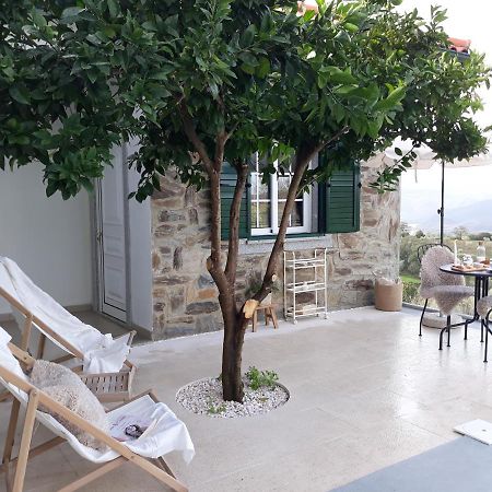Casinha Da Colina Villa Алфандега да Фе Екстериор снимка