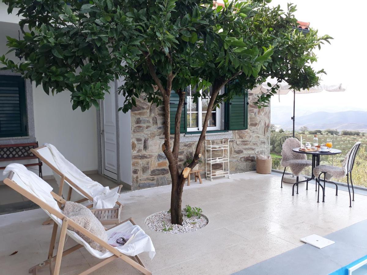 Casinha Da Colina Villa Алфандега да Фе Екстериор снимка